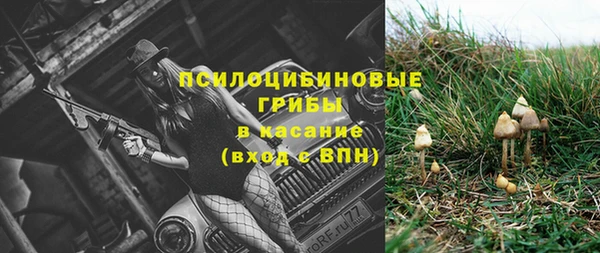 трава Алзамай