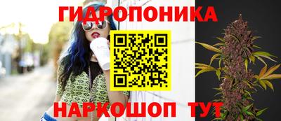 сатива Донской